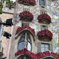 Roses de Sant Jordi a Barcelona IMG_6877