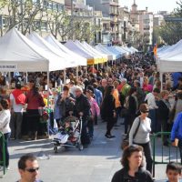 Un Sant Jordi amb moltes cares stj3