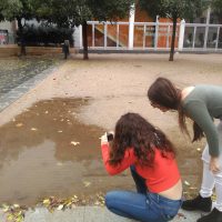taller de fotografia al batxillerat IMG_20181115_114834