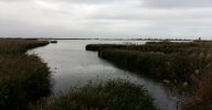 Els nois i noies de batxillerat van d’excursió al Delta de l’Ebre 20191010_180935